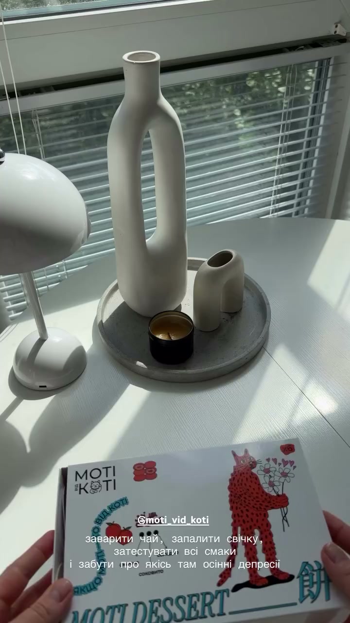 Video image 4